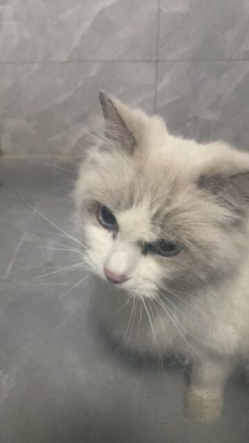 Eeb2185217f60eaa12045a4479904df6