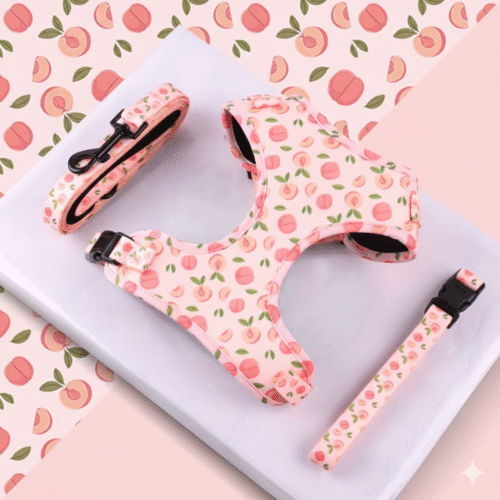 Pink Peach harness +leash + collar sets