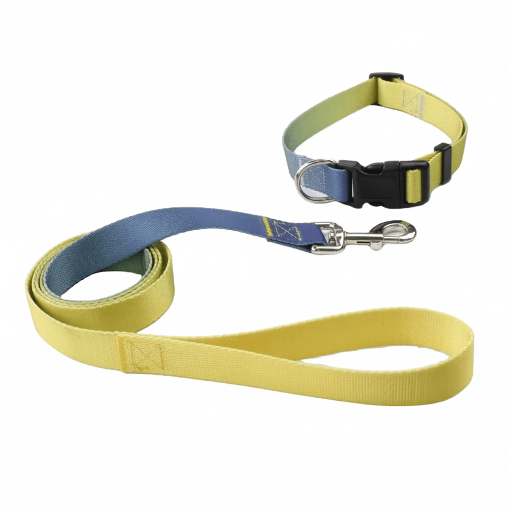 multi-color blue & yellow colors reflective dog leash