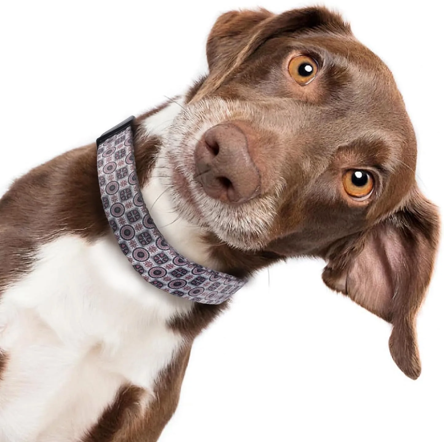 Custom Printed Eco-Friendly Soft Polyester Dog Collar Set with Breakaway Buckle Bowknot Including Matching Leash & Harness