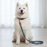 dog leash blue color