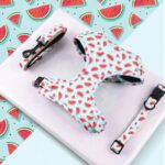 Summer Watermelon dog harness + leashes