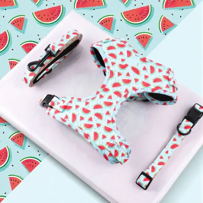 Summer Watermelon dog harness + leashes