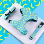 Banana harness +dog leashes sets