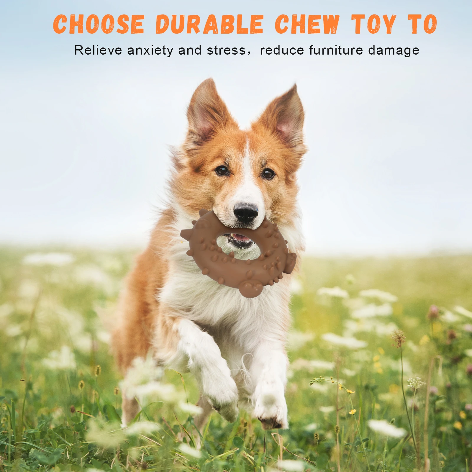 Food - Grades Teeth Cleaning & Training Play Chew Toy For Health Dog