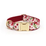 Cherry Gold Buckle Dog Collar