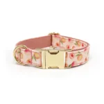 Summer Fruit Collection Dog Collars, featuring peach, blueberry, cherry, and lemon patterns for pets