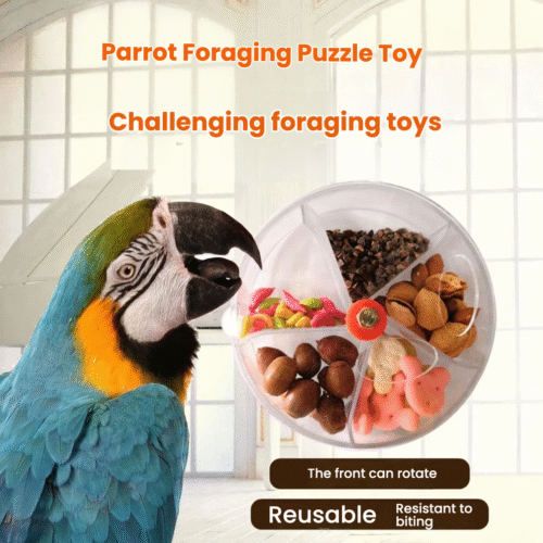 nteractive Acrylic Foraging Wheel Toy for Parrots | Durable Bite-Resistant Bird Feeder & Puzzle for Mental Stimulation