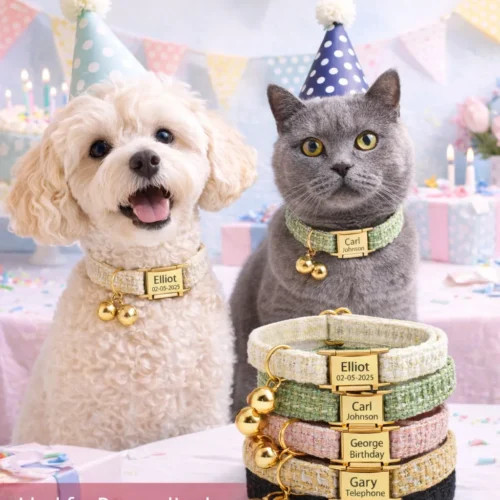 Customizable Dog ID Collar for Parties - Unique & Affordable Luxury Pet Accessory