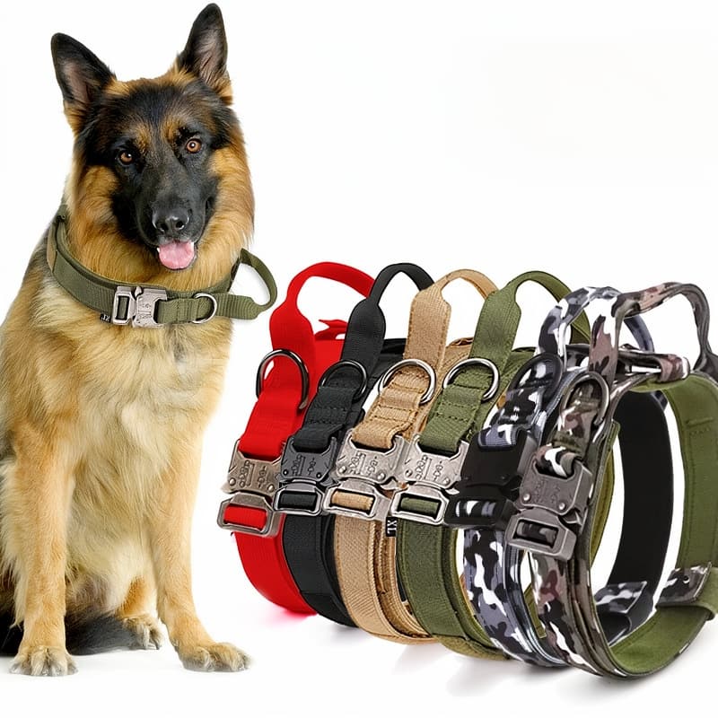 1769926649011 019c17d9 C567 7df6 940f B76b433808f7 Wh 800x800px