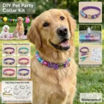 DIY Pet Party Collar Kit: Create Endless Custom Designs for Your Dog