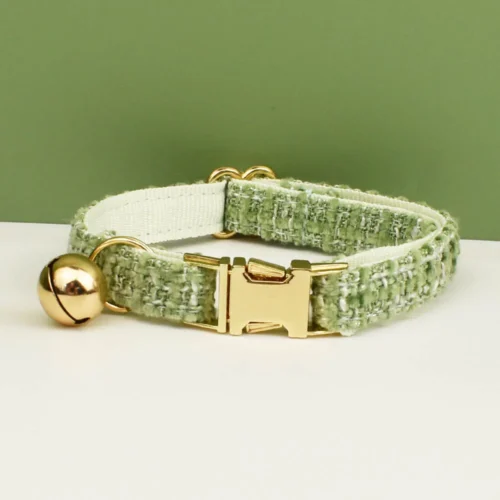 green dog id collar for party