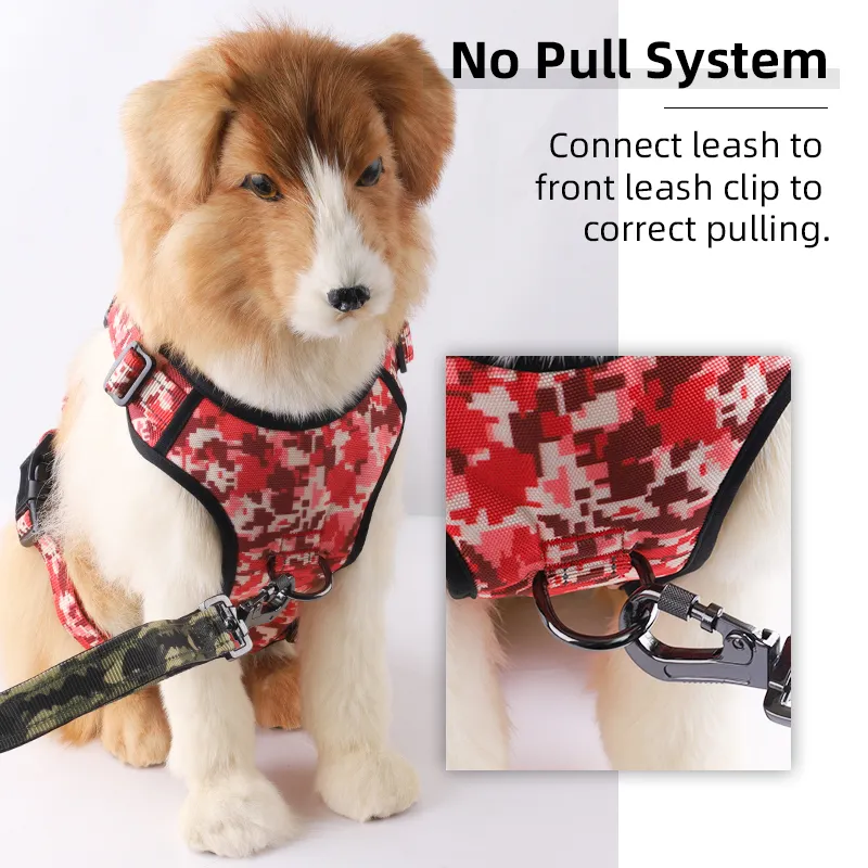 img no pull system with color of Camouflage-red