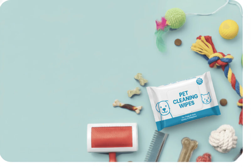 Dog Accessories Banner