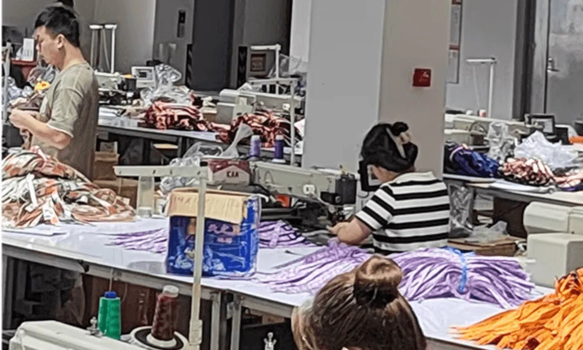 Fsy Pet Factory View 3